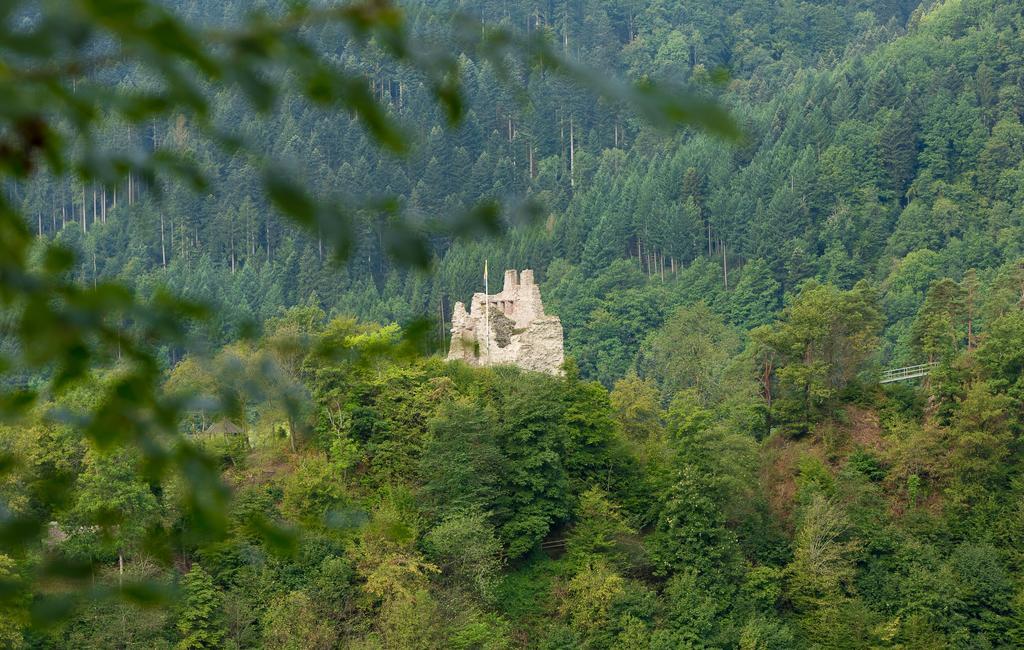 Hotel Winterhaldenhof Schenkenzell Екстериор снимка